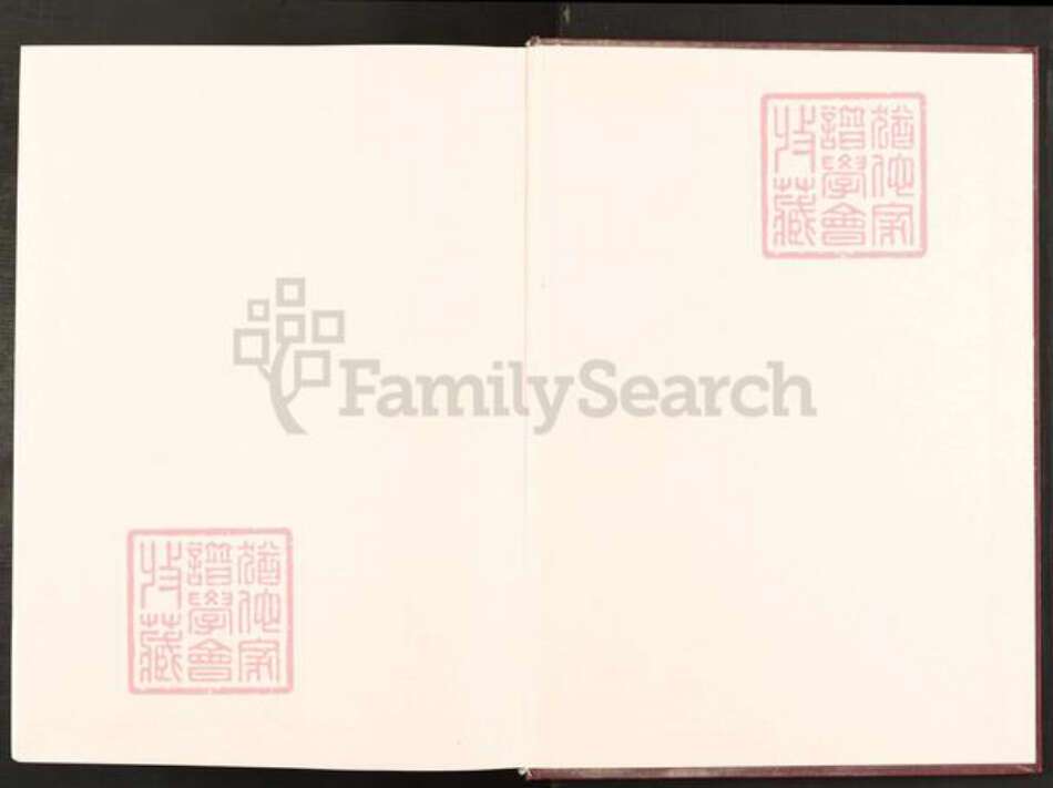 福建省福州市长乐区吴航街道福建省福州市长乐区梅花镇林氏思德堂族谱-新宅林氏族谱.pdf电子版预览图1