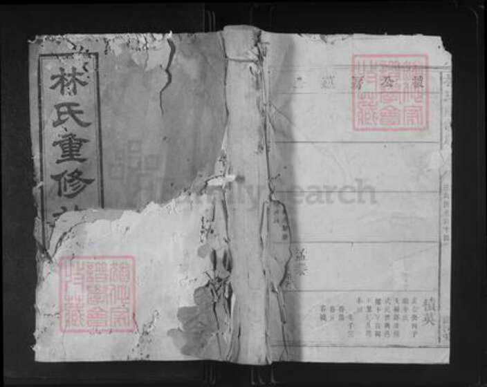 福建省泉州市林氏济南堂族谱-林氏重修族谱.pdf电子版缩略图