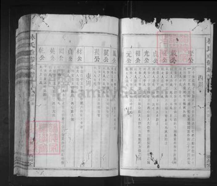 福建省泉州市林氏济南堂族谱-林氏重修族谱.pdf电子版预览图2