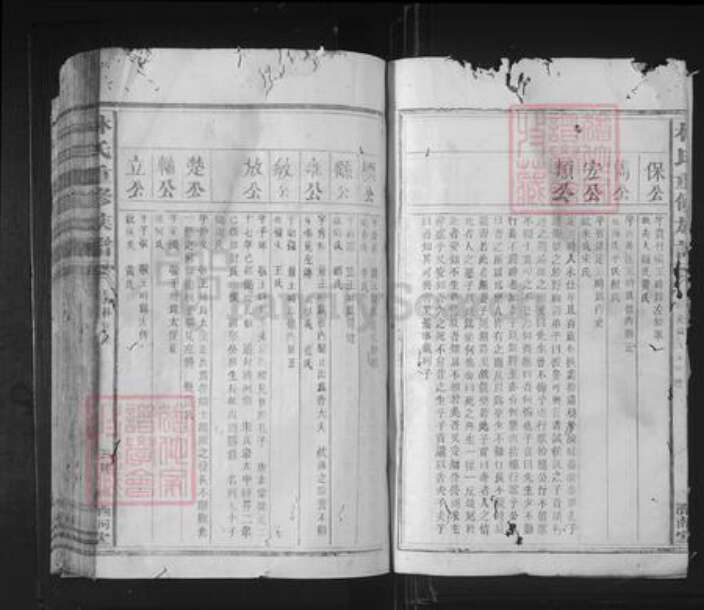 福建省泉州市林氏济南堂族谱-林氏重修族谱.pdf电子版预览图3