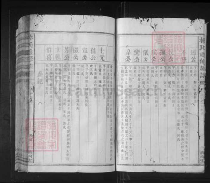 福建省泉州市林氏济南堂族谱-林氏重修族谱.pdf电子版预览图4