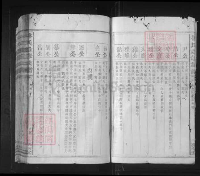 福建省泉州市林氏济南堂族谱-林氏重修族谱.pdf电子版预览图5