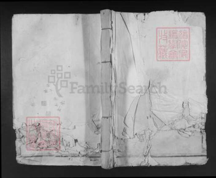 江西省赣州市宁都县安福乡林氏忠孝堂族谱-宁都西河林氏八九修族谱.pdf电子版缩略图