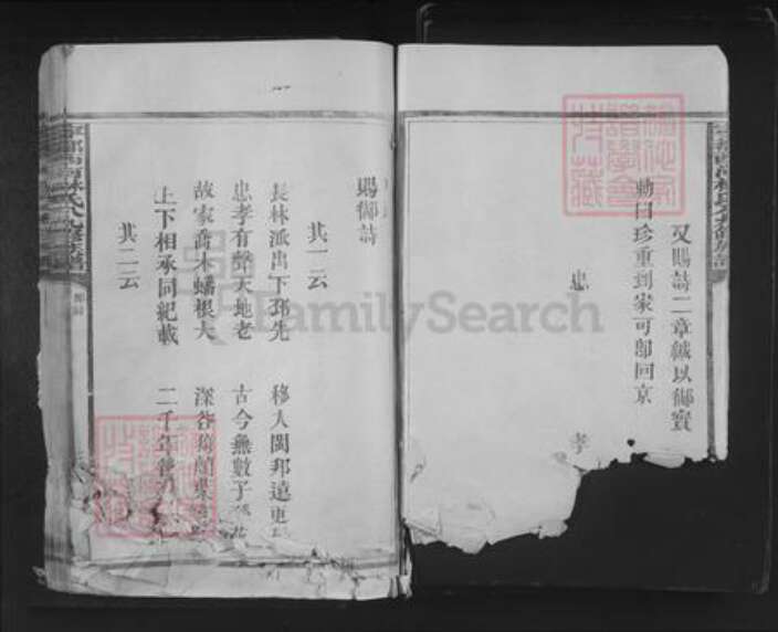 江西省赣州市宁都县安福乡林氏忠孝堂族谱-宁都西河林氏八九修族谱.pdf电子版预览图3