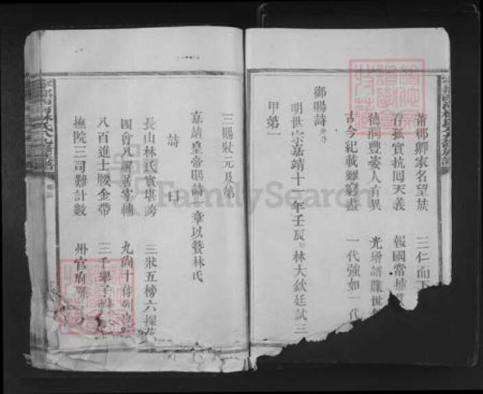 江西省赣州市宁都县安福乡林氏忠孝堂族谱-宁都西河林氏八九修族谱.pdf电子版预览图4