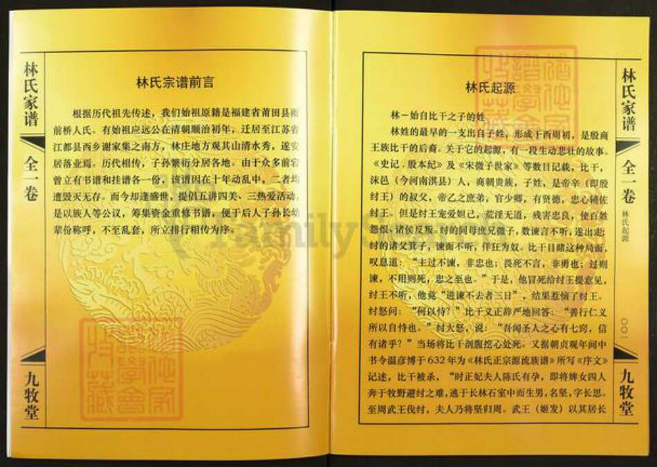 江苏省扬州市仪征市月塘镇林氏九牧堂族谱-林氏家谱.pdf电子版预览图2