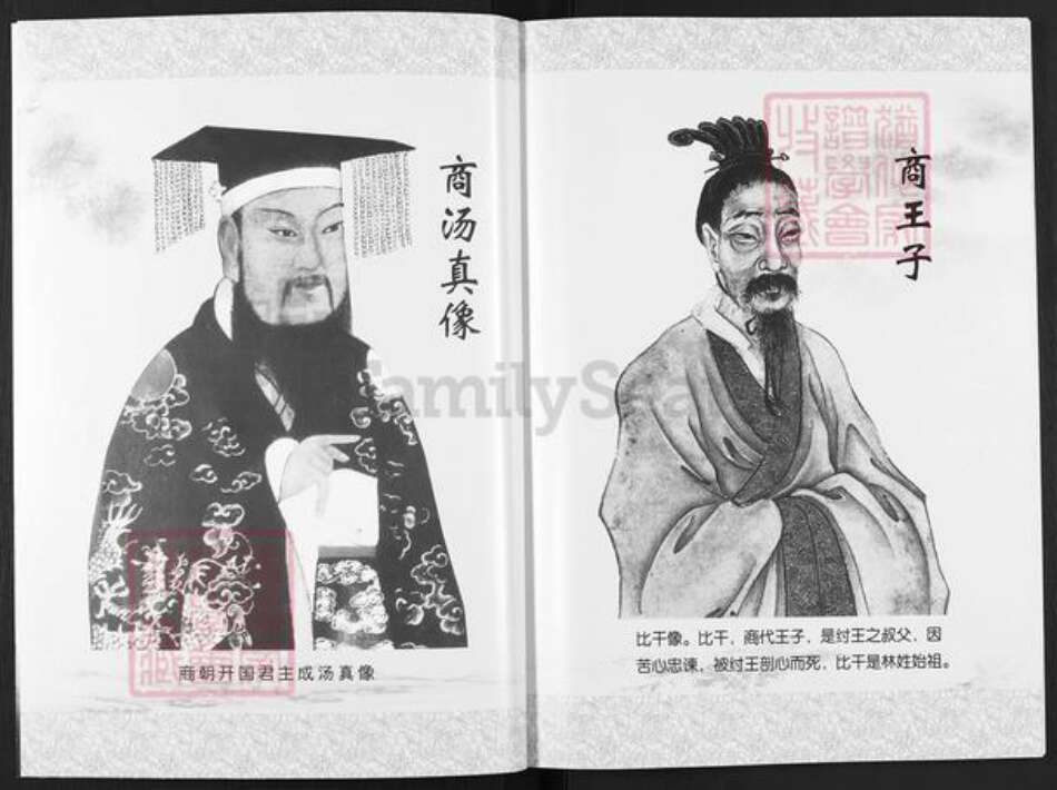 江苏省扬州市高邮市高邮街道林氏九牧堂族谱-林氏家谱.莆田九牧堂邮天分支.pdf电子版预览图2