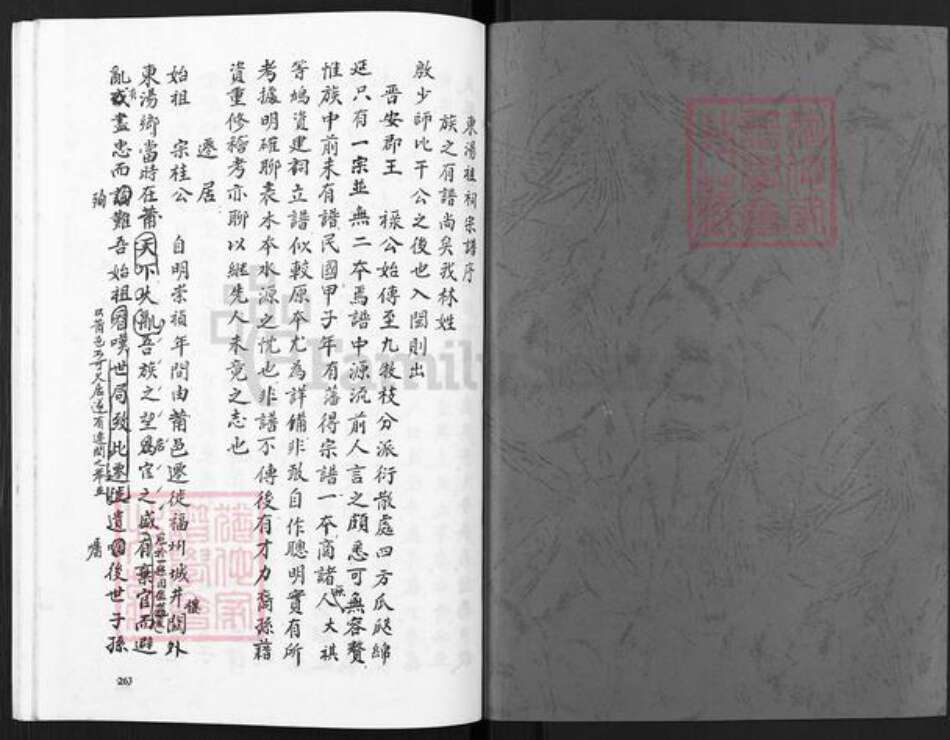 福建省福州市鼓楼区林氏族谱-东汤祖祠宗谱.pdf电子版预览图1