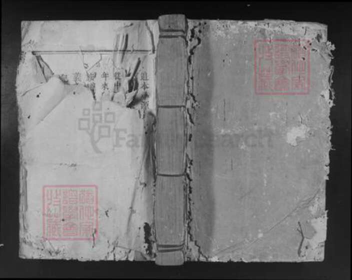 广东省韶关市始兴县顿岗镇林氏族谱-始兴斗塘林氏四修族谱.pdf电子版缩略图