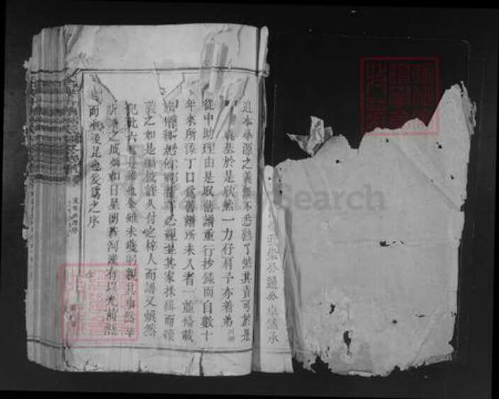 广东省韶关市始兴县顿岗镇林氏族谱-始兴斗塘林氏四修族谱.pdf电子版预览图1