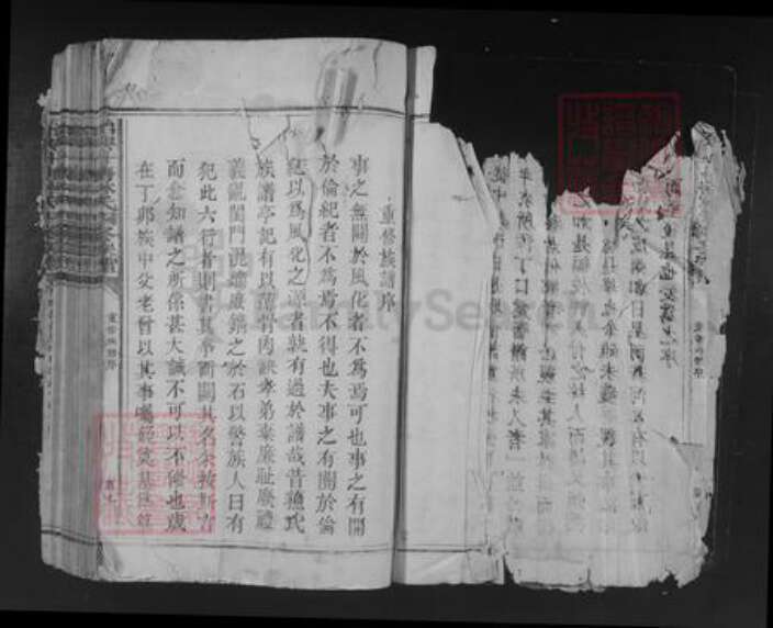 广东省韶关市始兴县顿岗镇林氏族谱-始兴斗塘林氏四修族谱.pdf电子版预览图2