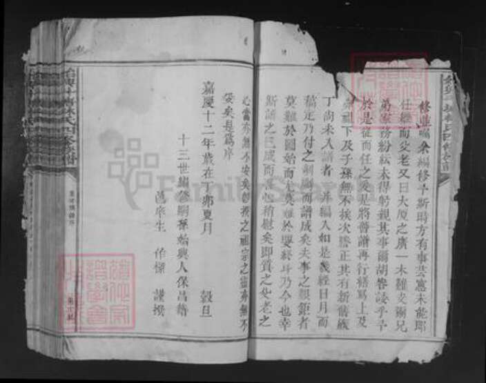 广东省韶关市始兴县顿岗镇林氏族谱-始兴斗塘林氏四修族谱.pdf电子版预览图3