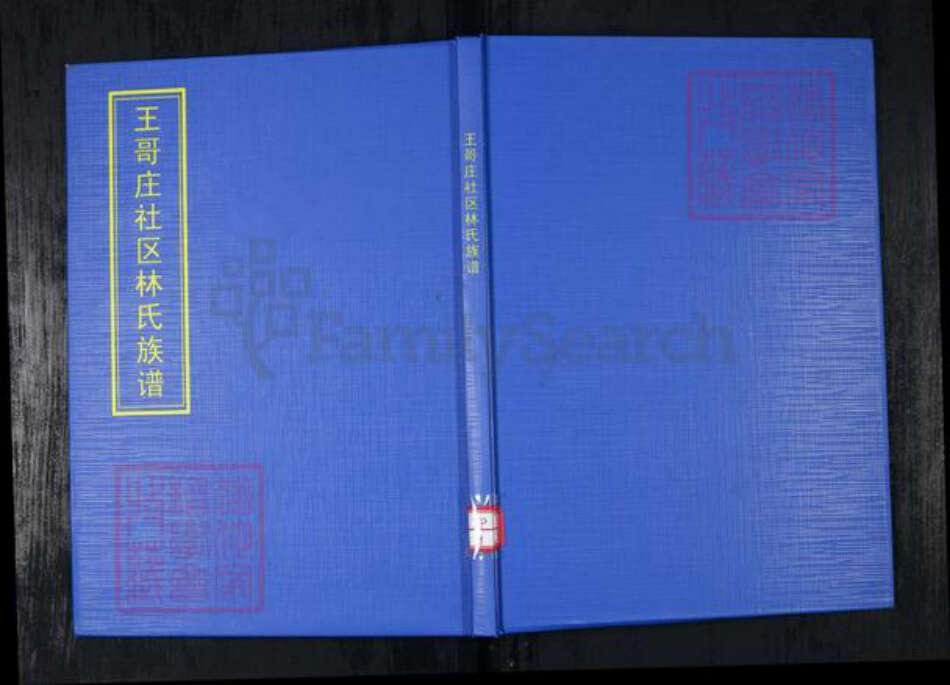山东省青岛市崂山区林氏族谱-王哥庄社区林氏族谱.pdf电子版缩略图