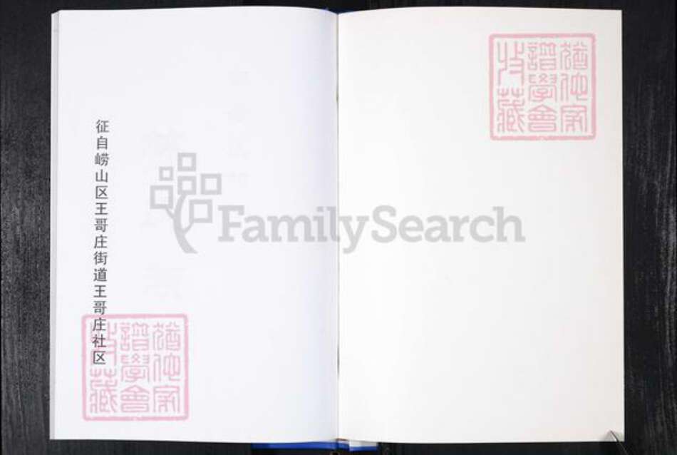 山东省青岛市崂山区林氏族谱-王哥庄社区林氏族谱.pdf电子版预览图1