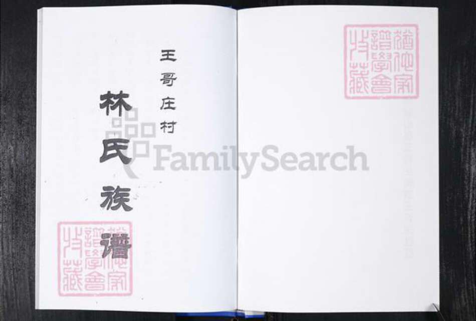 山东省青岛市崂山区林氏族谱-王哥庄社区林氏族谱.pdf电子版预览图2