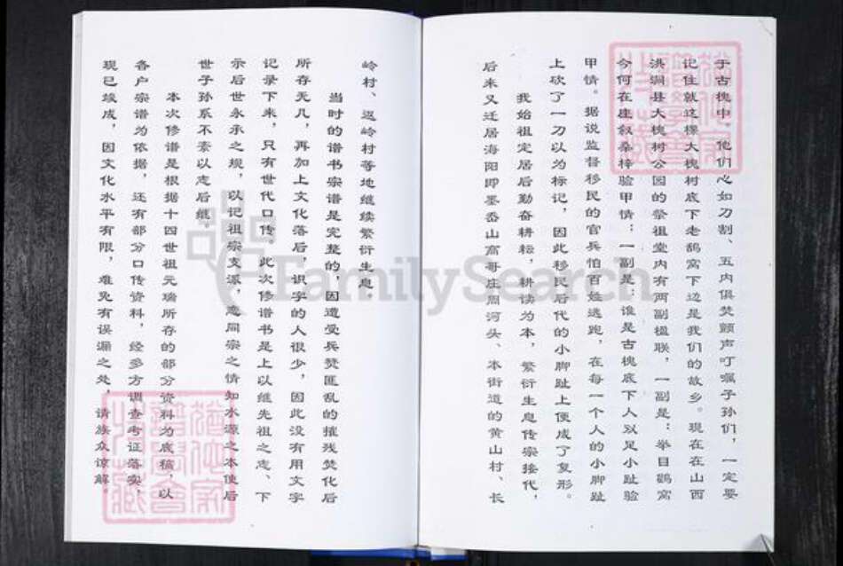 山东省青岛市崂山区林氏族谱-王哥庄社区林氏族谱.pdf电子版预览图4