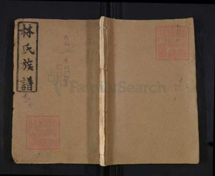 福建省漳州市林氏忠孝堂族谱-林氏族谱.pdf电子版缩略图