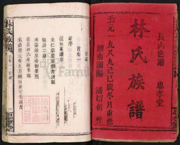 福建省漳州市林氏忠孝堂族谱-林氏族谱.pdf电子版预览图1