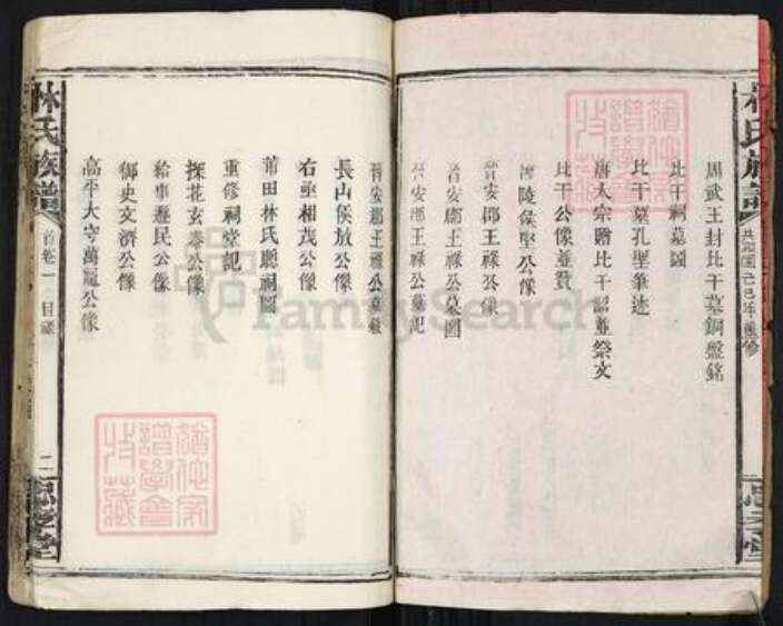 福建省漳州市林氏忠孝堂族谱-林氏族谱.pdf电子版预览图2