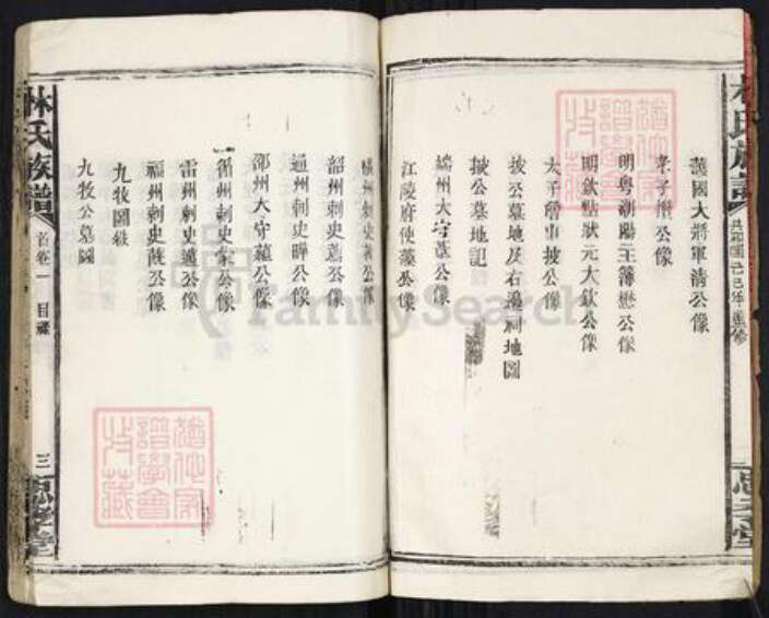 福建省漳州市林氏忠孝堂族谱-林氏族谱.pdf电子版预览图3