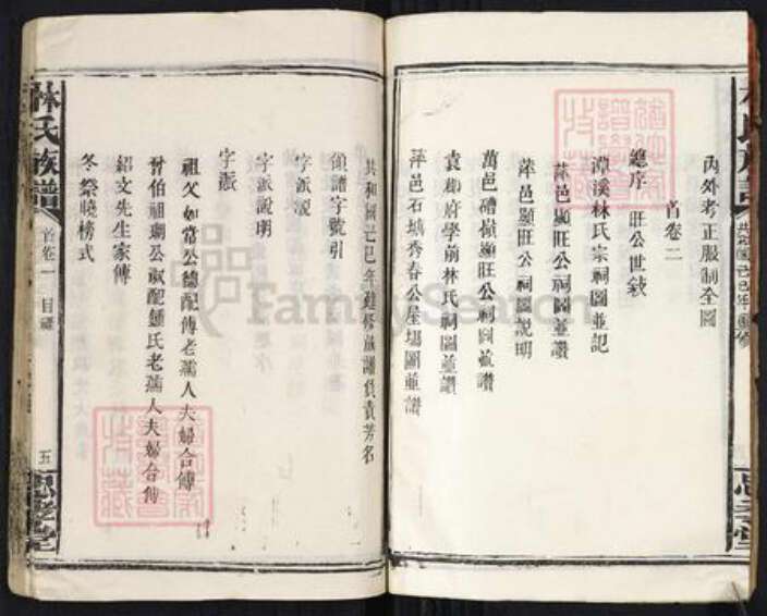 福建省漳州市林氏忠孝堂族谱-林氏族谱.pdf电子版预览图5