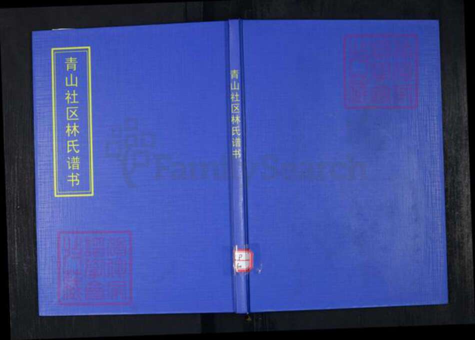 山东省青岛市崂山区林氏族谱-青山社区林氏谱书.pdf电子版缩略图