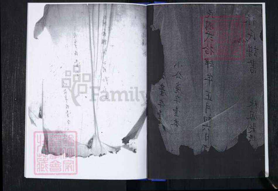 山东省青岛市崂山区林氏族谱-青山社区林氏谱书.pdf电子版预览图2