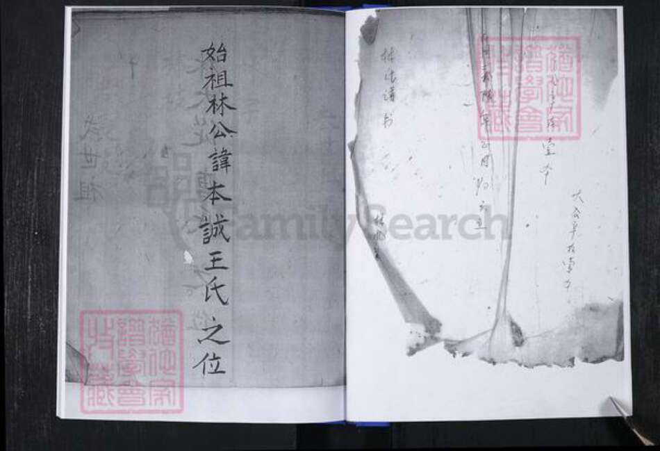 山东省青岛市崂山区林氏族谱-青山社区林氏谱书.pdf电子版预览图3