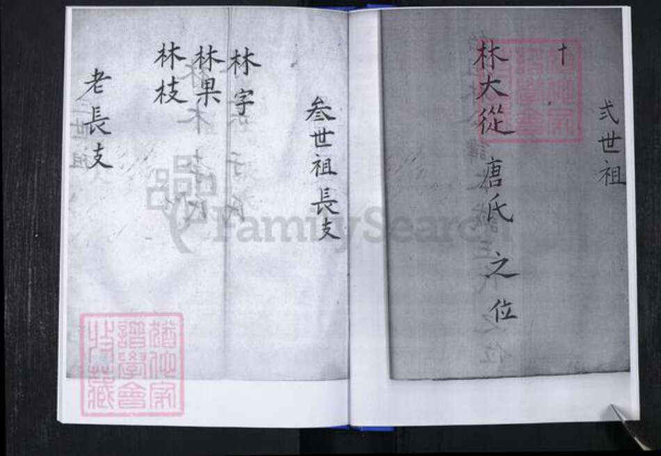 山东省青岛市崂山区林氏族谱-青山社区林氏谱书.pdf电子版预览图4