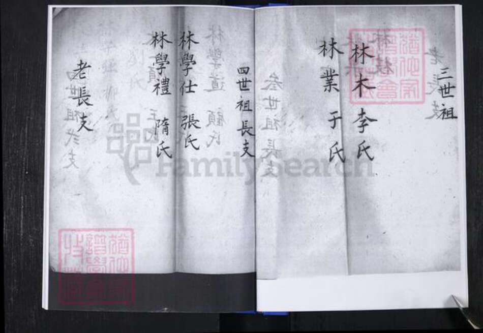 山东省青岛市崂山区林氏族谱-青山社区林氏谱书.pdf电子版预览图5