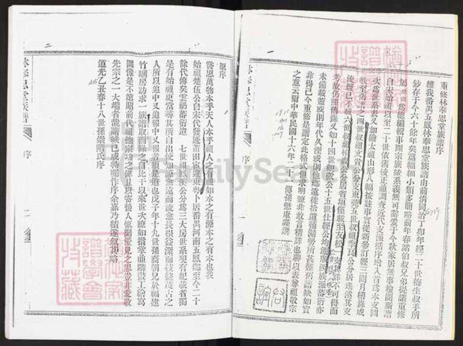 广东省广州市番禺区林氏奉思堂族谱-林奉思堂族谱.pdf电子版预览图2