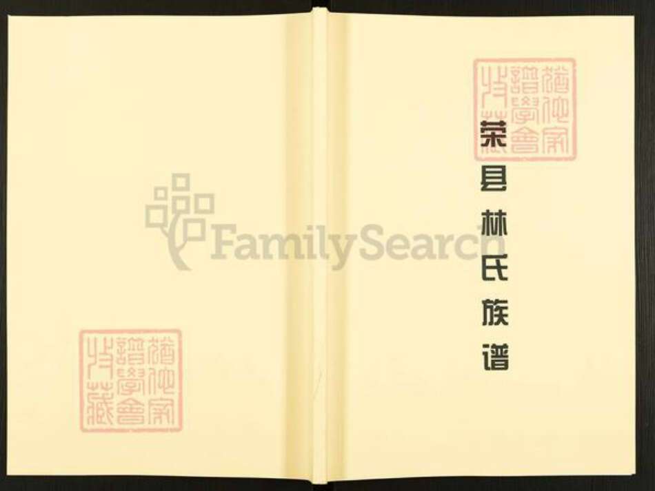 四川省自贡市贡井区林氏忠孝堂族谱-荣县林氏族谱.pdf电子版缩略图