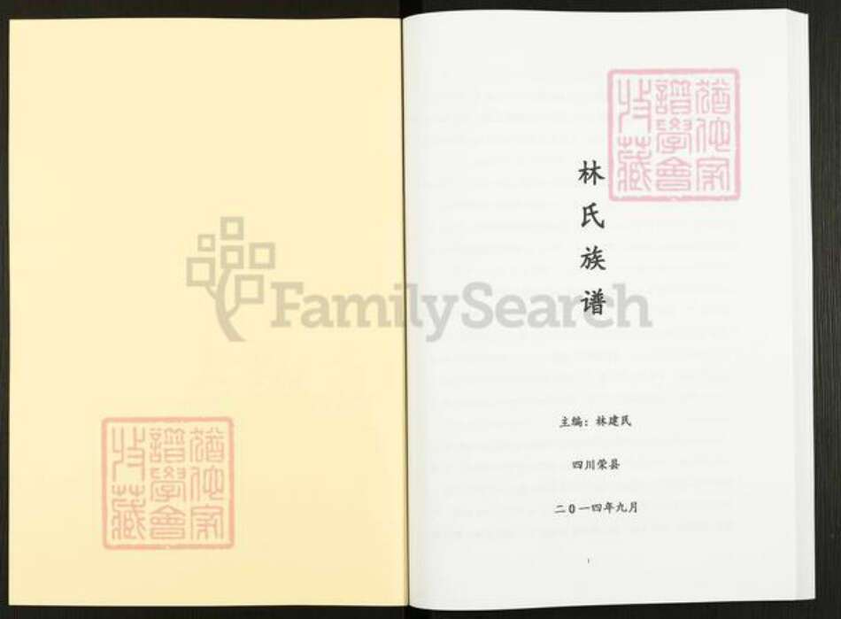 四川省自贡市贡井区林氏忠孝堂族谱-荣县林氏族谱.pdf电子版预览图1