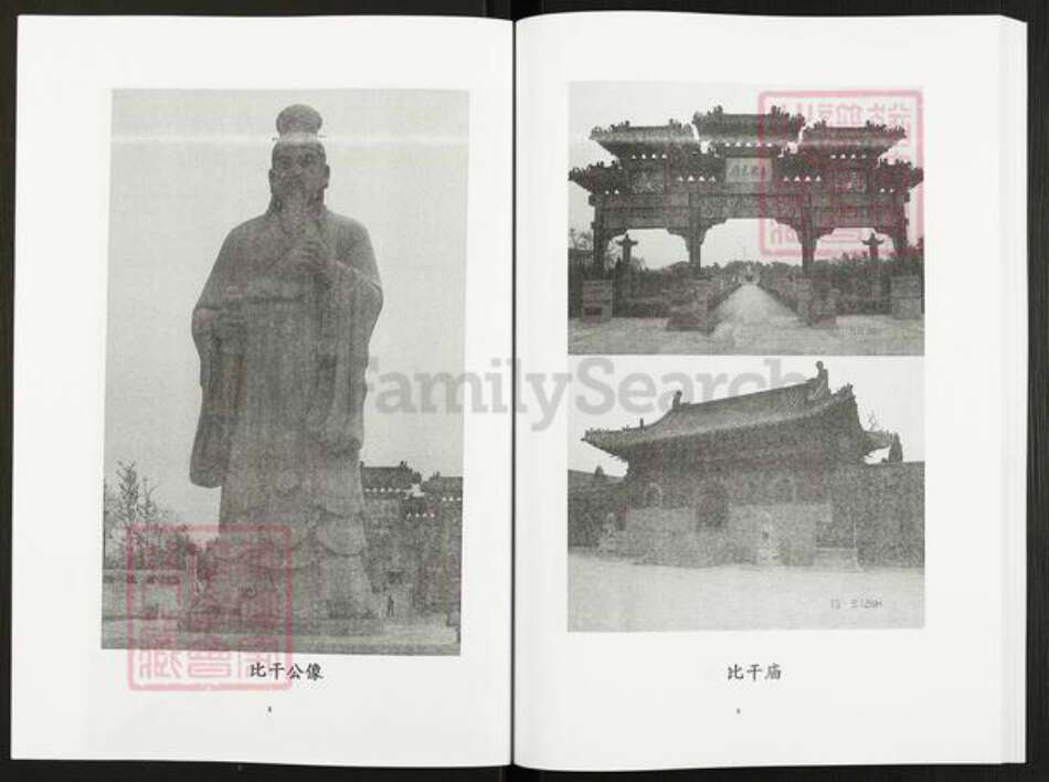 四川省自贡市贡井区林氏忠孝堂族谱-荣县林氏族谱.pdf电子版预览图5