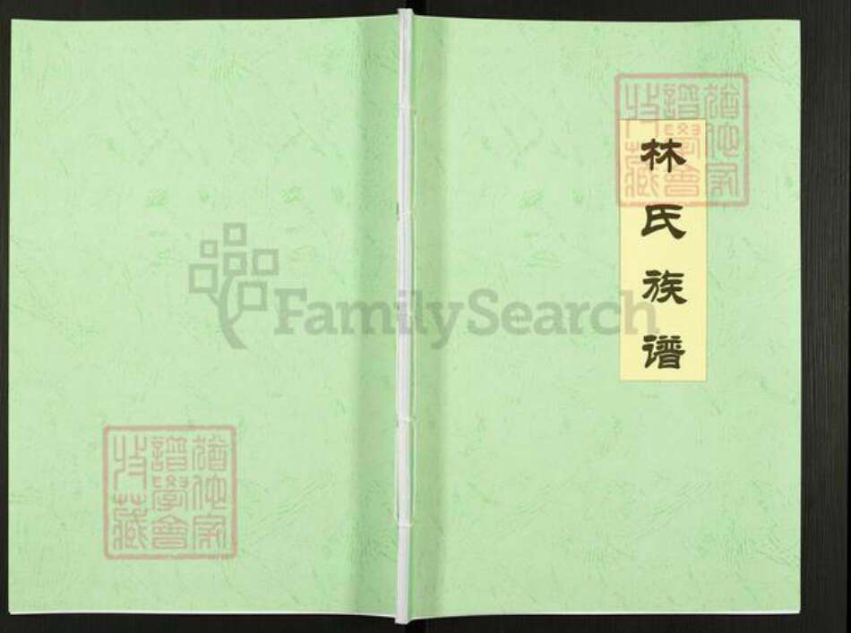 广东省梅州市五华县转水镇林氏九龙堂族谱-林氏族谱.pdf电子版缩略图