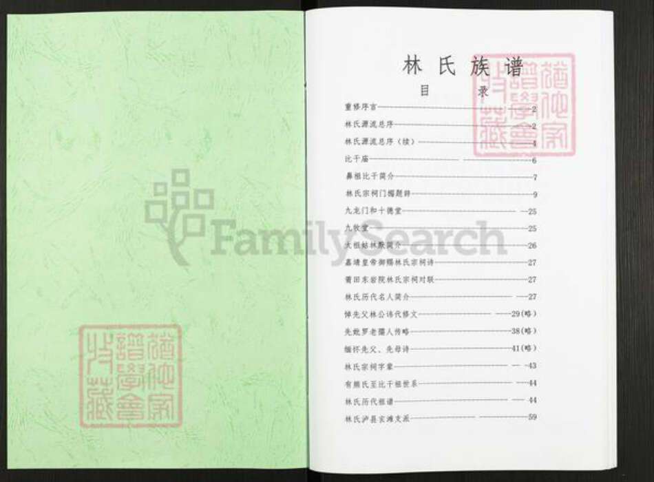 广东省梅州市五华县转水镇林氏九龙堂族谱-林氏族谱.pdf电子版预览图1