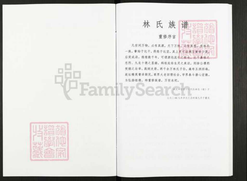 广东省梅州市五华县转水镇林氏九龙堂族谱-林氏族谱.pdf电子版预览图2