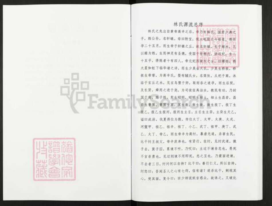 广东省梅州市五华县转水镇林氏九龙堂族谱-林氏族谱.pdf电子版预览图3