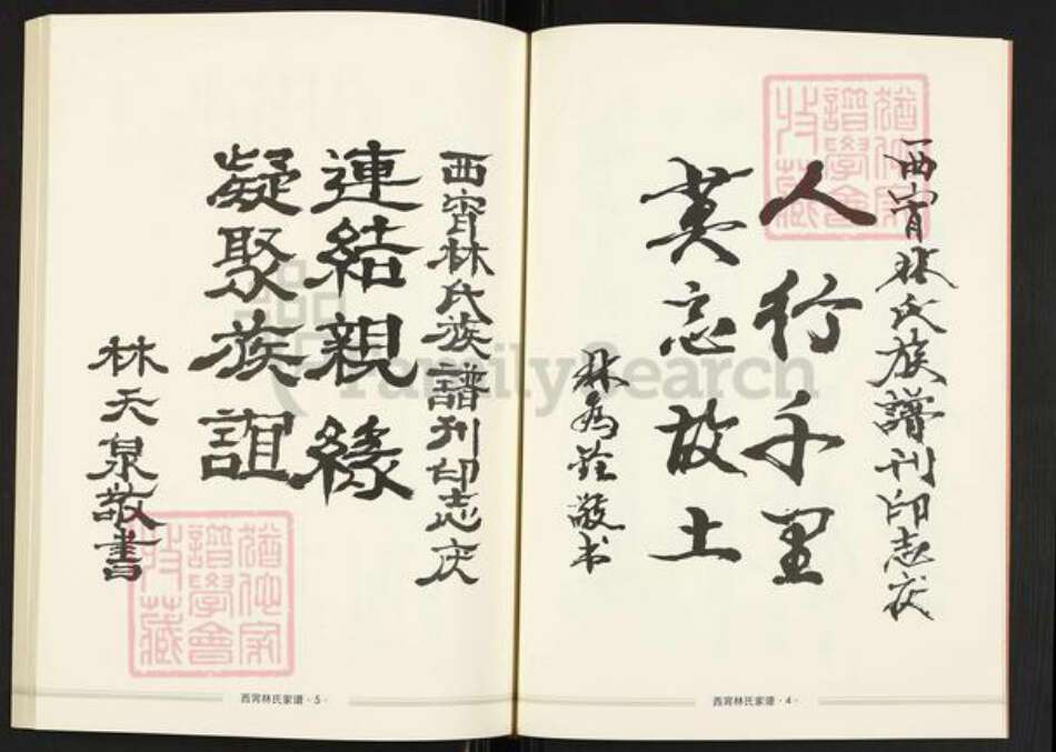 福建省福州市福清市龙田镇林氏七贤堂族谱-文七林苍山西宵林氏家谱.pdf电子版预览图3