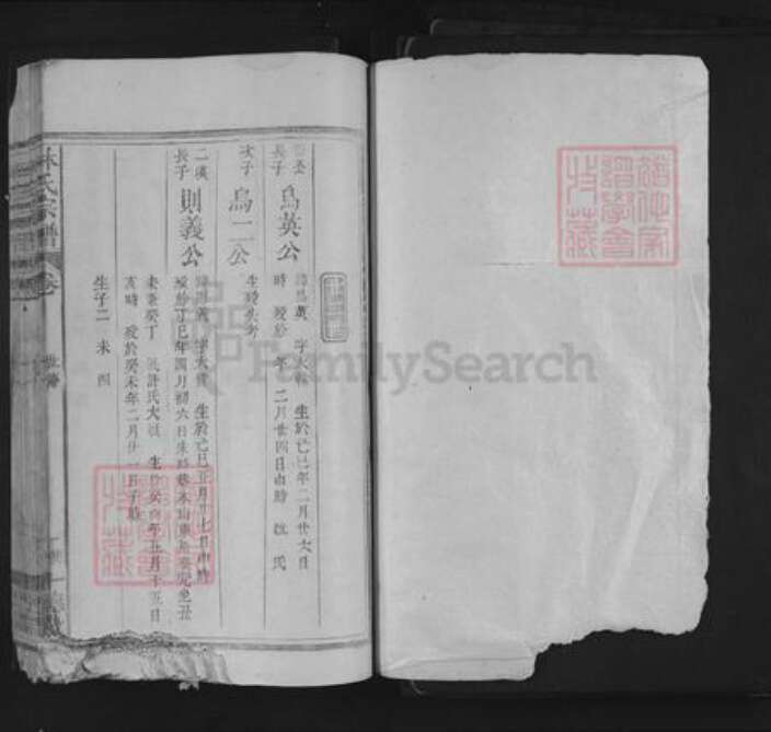 江西省上饶市林氏十德堂族谱-林氏宗谱.pdf电子版预览图1