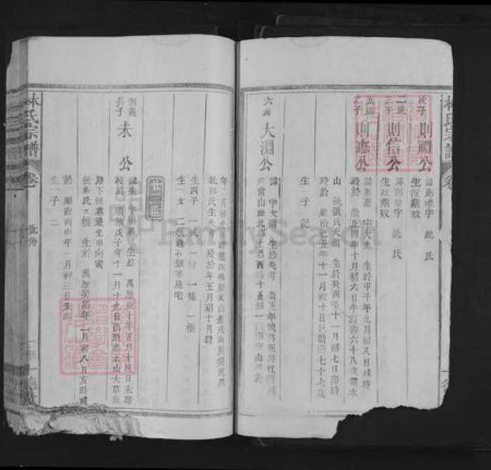 江西省上饶市林氏十德堂族谱-林氏宗谱.pdf电子版预览图2