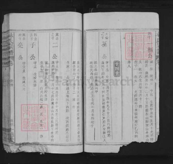 江西省上饶市林氏十德堂族谱-林氏宗谱.pdf电子版预览图3