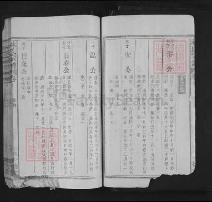 江西省上饶市林氏十德堂族谱-林氏宗谱.pdf电子版预览图4