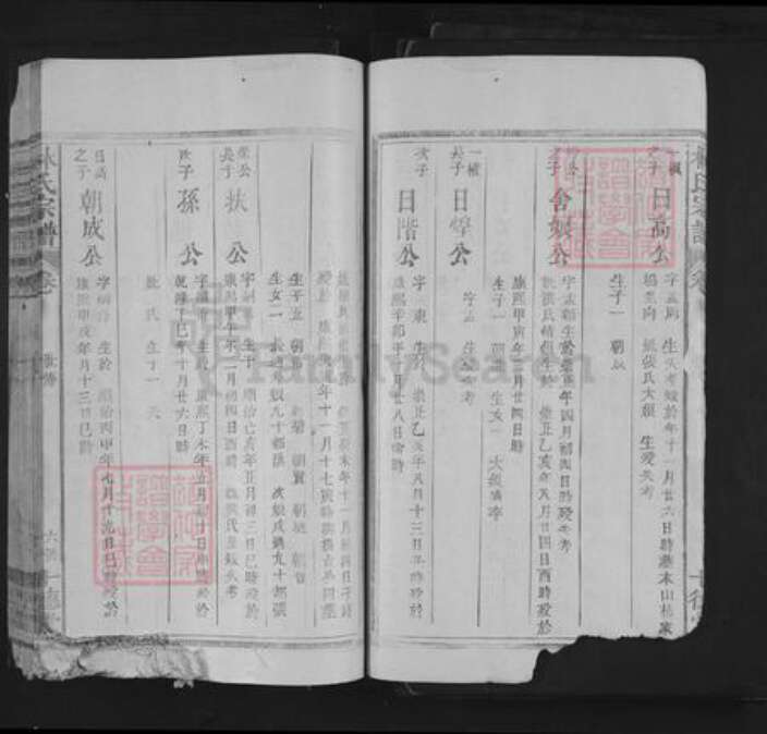 江西省上饶市林氏十德堂族谱-林氏宗谱.pdf电子版预览图5