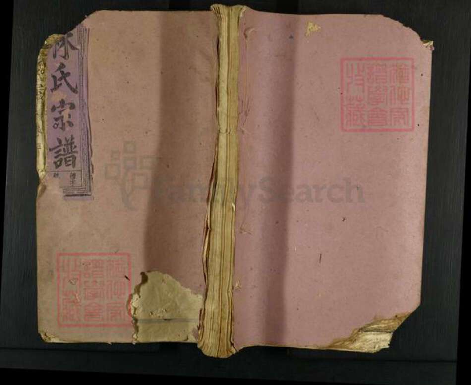 福建省漳州市龙海市角美镇林氏十德堂族谱-林氏宗谱.pdf电子版缩略图