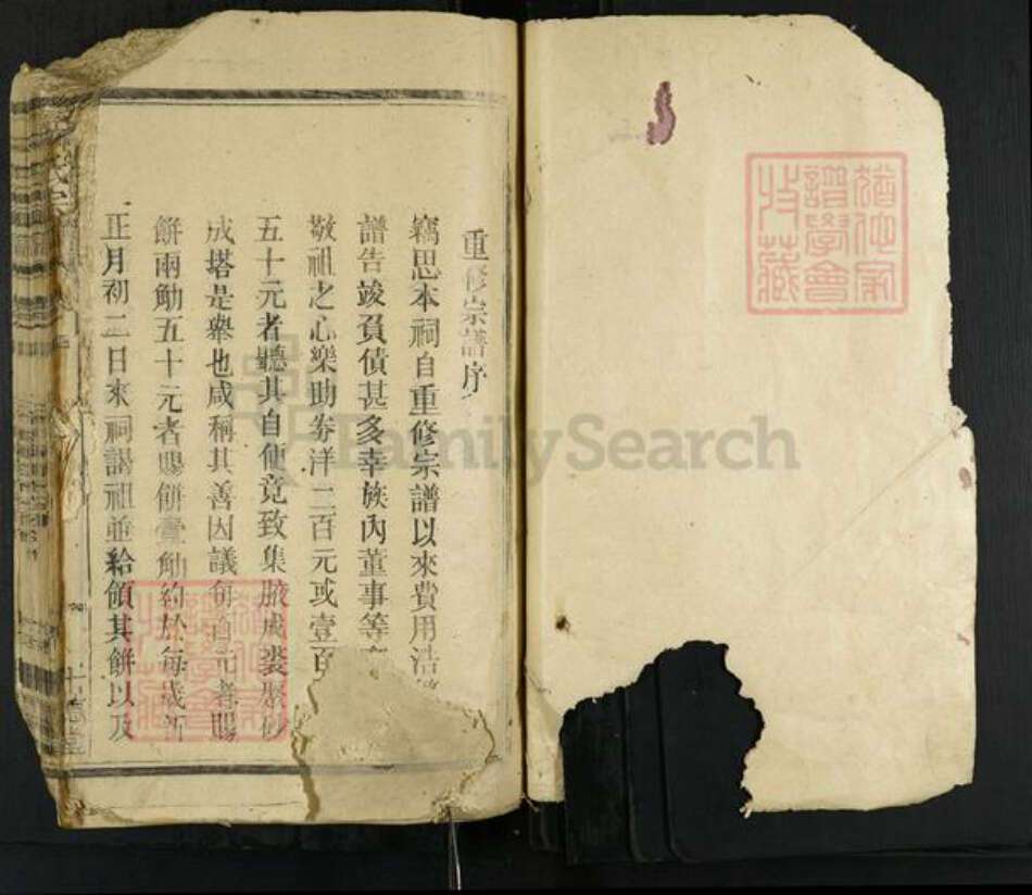 福建省漳州市龙海市角美镇林氏十德堂族谱-林氏宗谱.pdf电子版预览图1