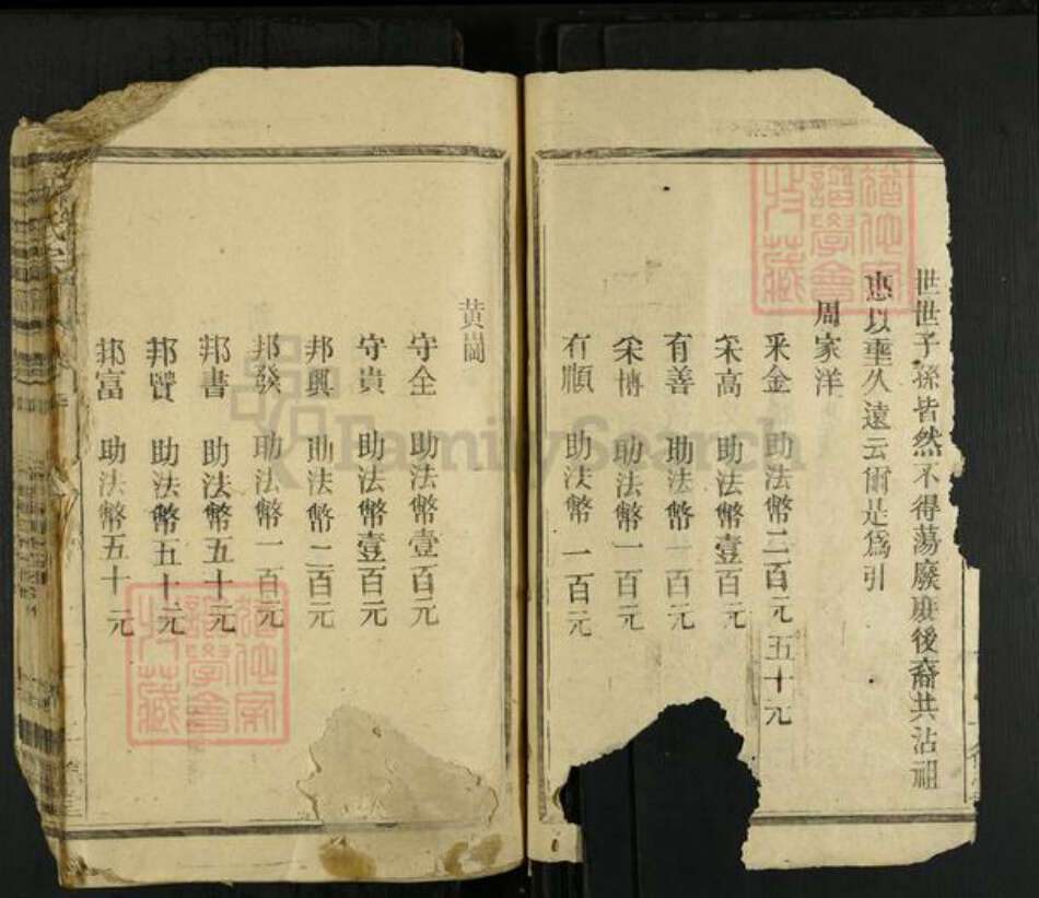 福建省漳州市龙海市角美镇林氏十德堂族谱-林氏宗谱.pdf电子版预览图2