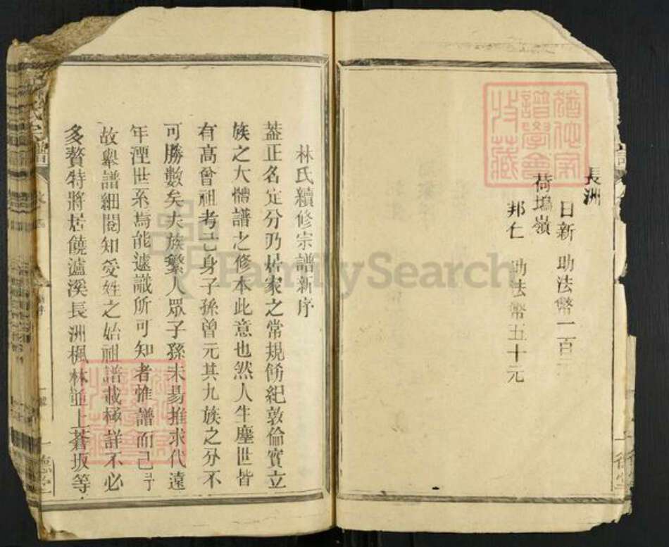 福建省漳州市龙海市角美镇林氏十德堂族谱-林氏宗谱.pdf电子版预览图5