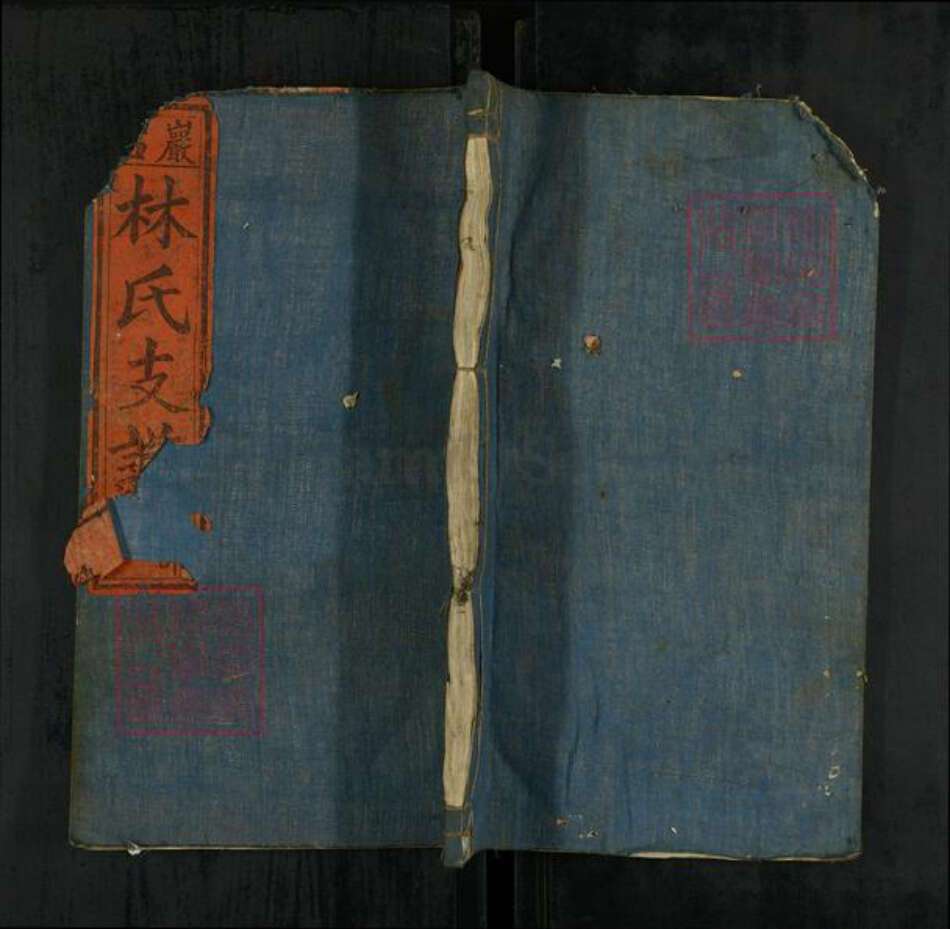 江西省上饶市广丰区毛村镇林氏九牧堂族谱-严右林氏支谱.pdf电子版缩略图