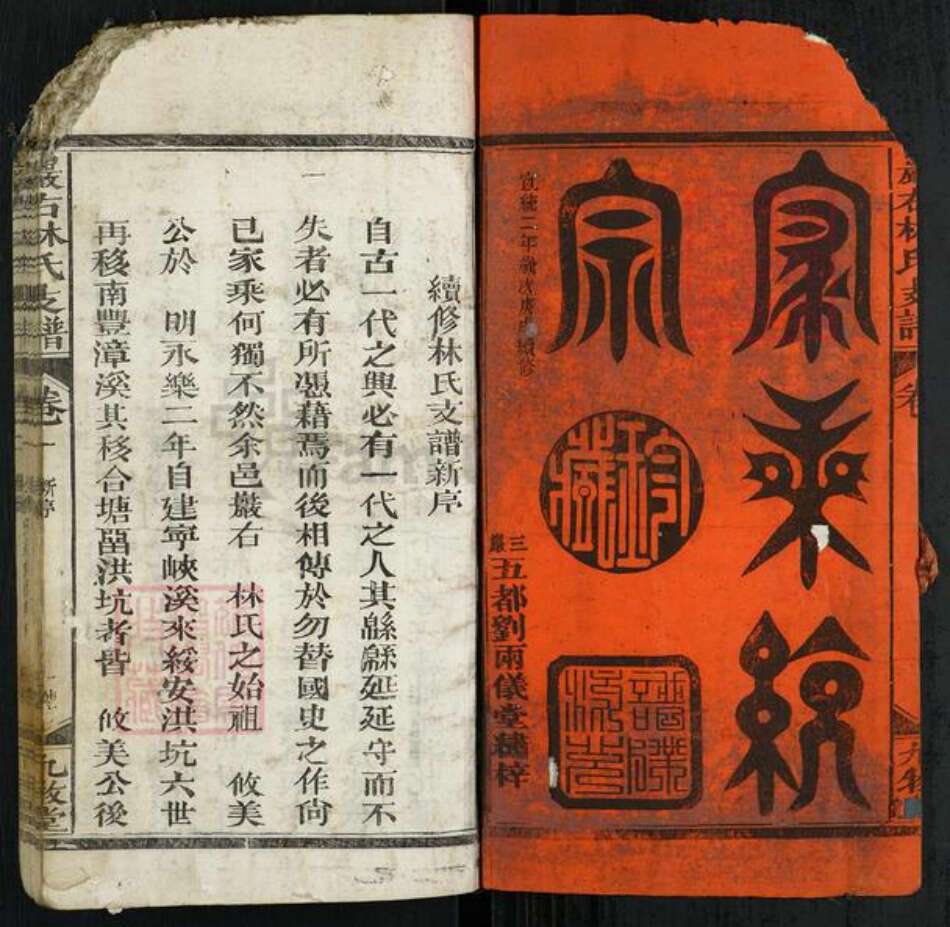 江西省上饶市广丰区毛村镇林氏九牧堂族谱-严右林氏支谱.pdf电子版预览图1